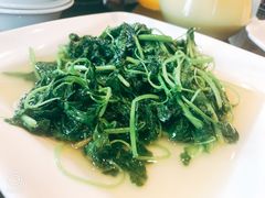 -新南华大酒店(长寿店)