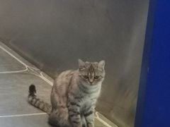 -神盾局科技密室(永川万达广场店)