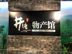 -井塘古村