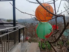 -桃源山庄·水蜜桃采摘·柴火鸡·烧烤团建(龙泉山店)