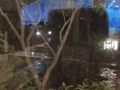 -海兰云天度假区温泉