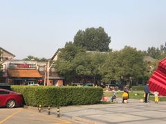 -中关村茶点