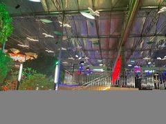 -北国之春国宴(乌兰察布店)