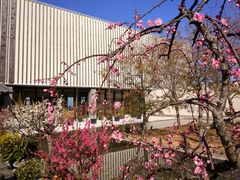门面-南紀白浜 浜千鳥の湯 海舟