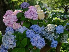 -名花谷生态庄园