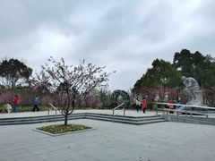 -黄兴公园