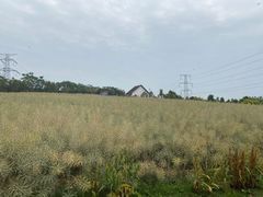 -紫颐香薰山谷景区