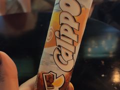 -暹罗海洋世界