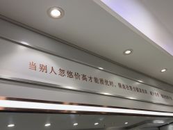 -镁连社·美联社