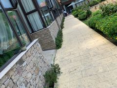 -洪湖家庭农场·团建·露营·会议