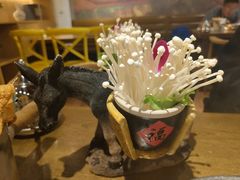 -刘一锅筋头巴脑(小北店)