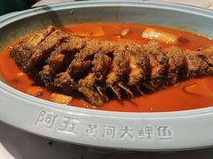 -阿五黄河大鲤鱼(纬三路店)