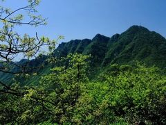 -山王坪喀斯特国家生态公园