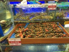 -欢乐海岸美食联盟