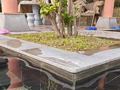 -罗浮山嘉宝田森林温泉度假酒店