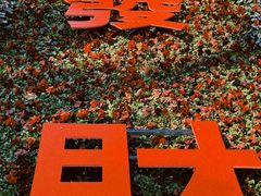 -白帝城·瞿塘峡景区