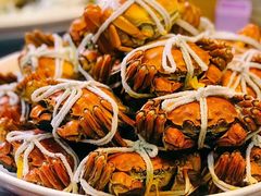 -呼吸森林·生态农庄农家乐私房菜