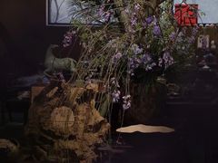 -苏州本色美术馆