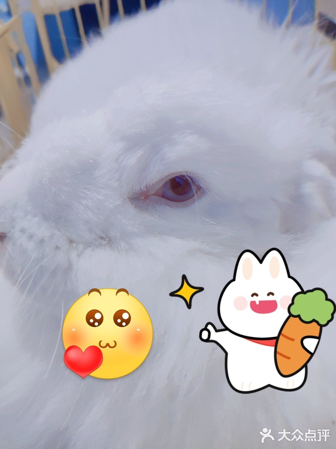 O这里是网红拍照打卡，闺蜜聚会