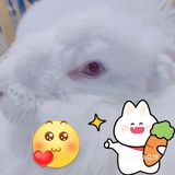 O这里是网红拍照打卡，闺蜜聚会