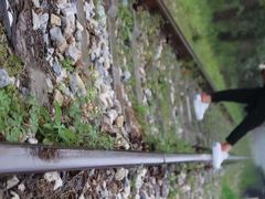 -合肥滨湖国家森林公园