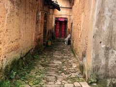 -杨家堂村