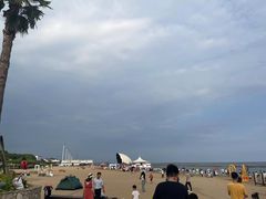 -碧海金沙