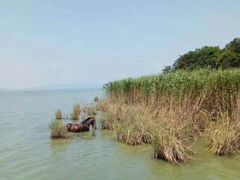 -亮河湾山庄