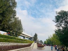 -宝安西湾红树林湿地公园