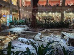 -白虎自助餐厅·真老虎·景观自助餐厅(广州长隆酒店)