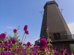 -漩门湾国家湿地公园