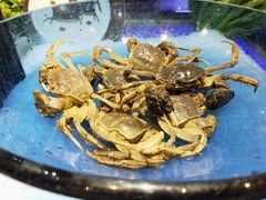 -加餐海鲜自助(集美银泰百货店)