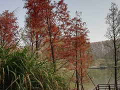 -河南省黄河迎宾馆