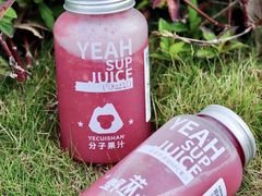 -野萃山·潮汕厚果汁(十亩地店)