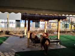 -萌宠亲子动物乐园(槐房万达店)