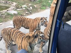 -西安秦岭野生动物园