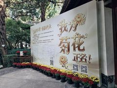 -汇龙潭