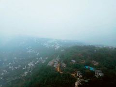 -大金鹰园