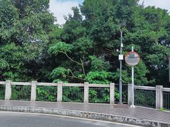-深圳仙湖植物园