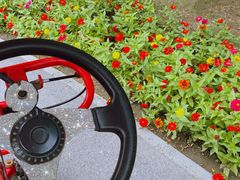 -永定河休闲森林公园