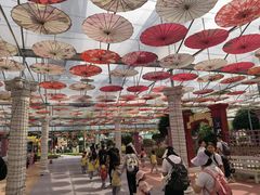 -广东花都香草世界旅游度假区