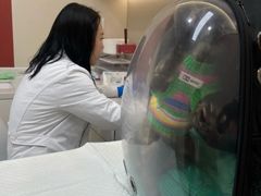 -御宝贝24h宠物医院·转诊中心·CT核磁血透中心(厦门总院)