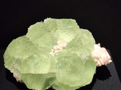 -山东博物馆