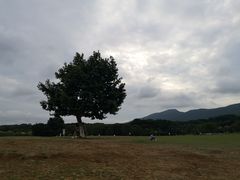 -钟山体育运动公园