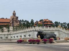 -广东圆玄道观
