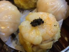 -糖朝(尖沙咀店)