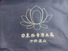 -庐山风景名胜区-东林大佛