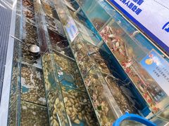 -仙螺岛海鲜自助餐厅(总店)