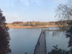 -溱湖国家湿地公园