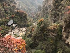 -狼牙山风景区